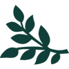 Delimiter Image
